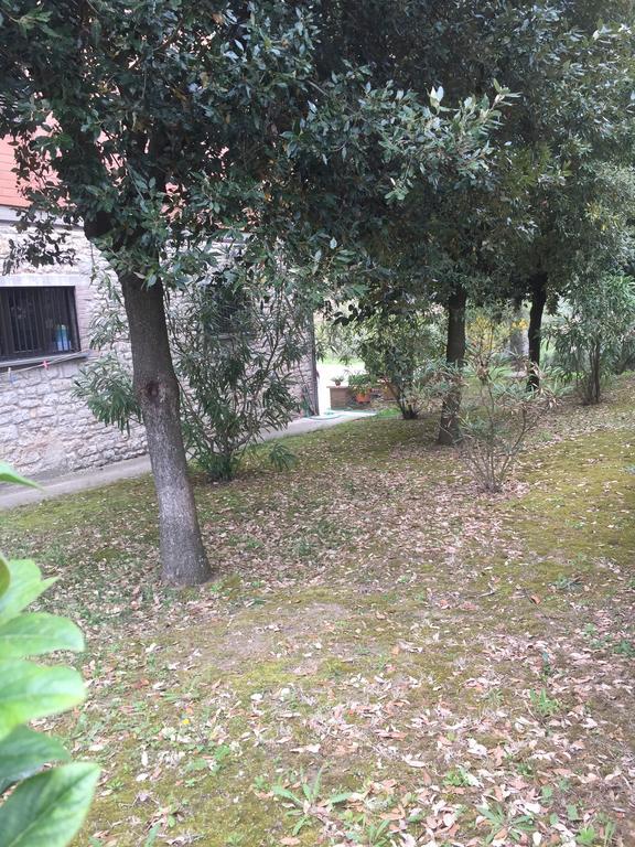 Appartamento Dell Agriturismo Pane E Olio Todi Exterior foto