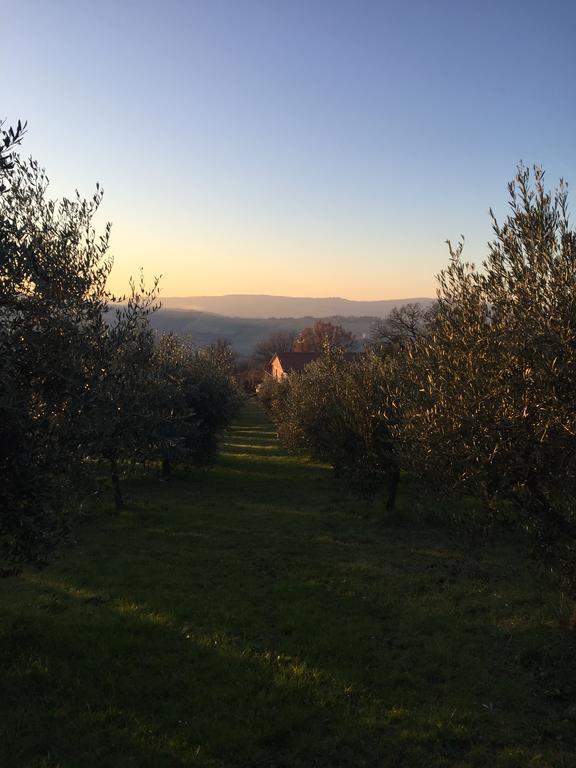 Appartamento Dell Agriturismo Pane E Olio Todi Exterior foto